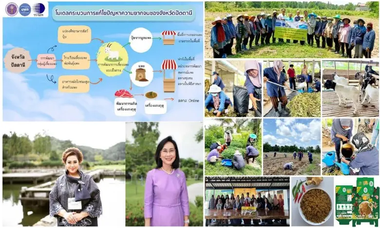 วว. /บพท. /มหาวิทยาลัยสงขลานครินทร์ ขับเคลื่อนโมเดลแก้จนในพื้นที่จังหวัดปัตตานี นำร่องพัฒนาอาชีพเลี้ยงแพะแบบครบวงจร
