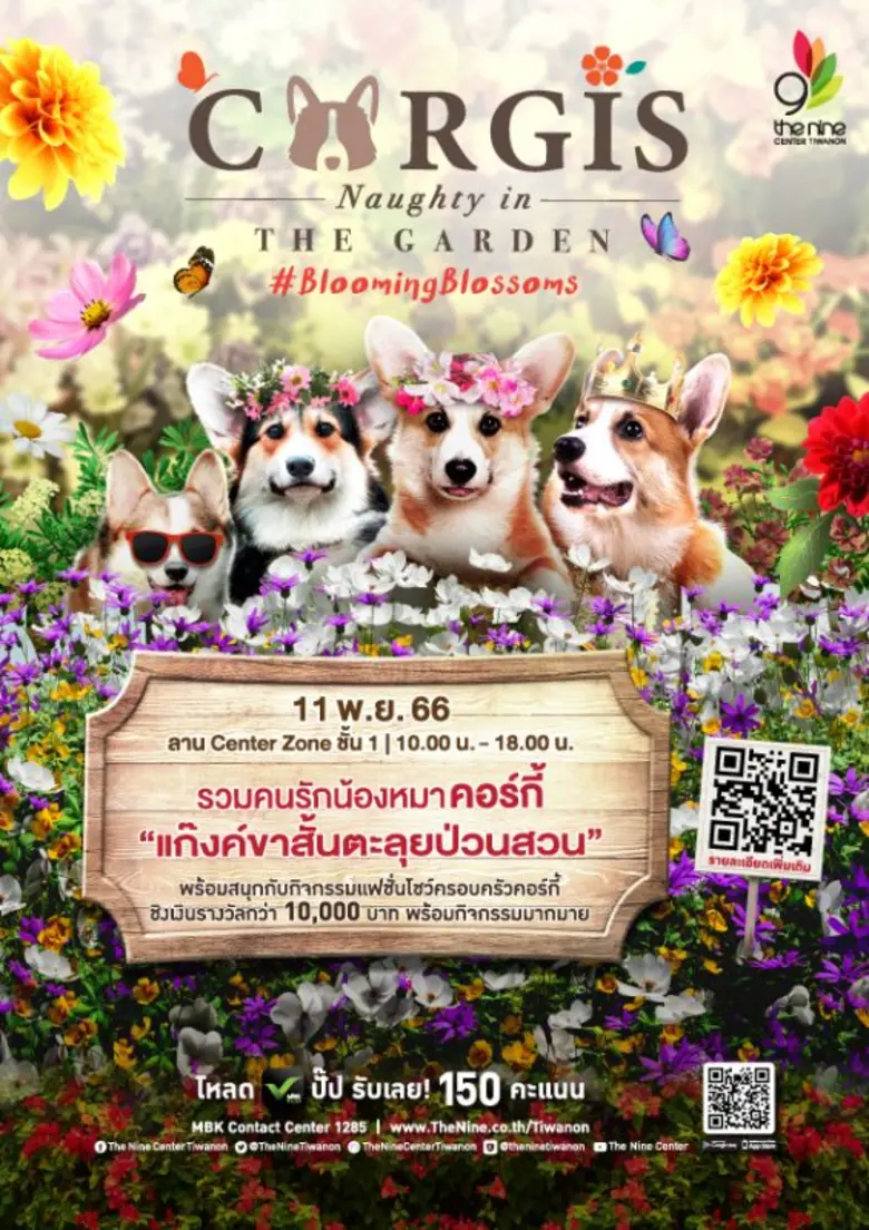 เดอะไนน์ เซ็นเตอร์ ติวานนท์ นัดรวมตัวคนรักน้องหมาคอร์กี้ ในงาน "Corgis Naughty in The Garden" #BloomingBlossoms