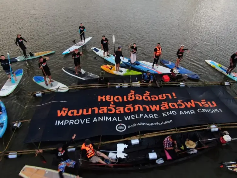 องค์พิทักษ์สัตว์แห่งโลก ประเทศไทย รณรงค์ต้านเชื้อดื้อยาจากฟาร์มอุตสาหกรรม คิกออฟแคมเปญ "บึ๊ด จ้ำ บึ๊ด ฮึดสู้เพื่อสัตว์ฟาร์ม"