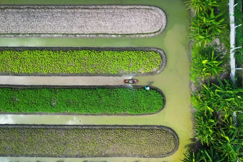 ภาพถ่าย "ลากเรือรดน้ำผัก" คว้ารางวัลประกวดภาพถ่าย "ดินดี น้ำสมบูรณ์ เกื้อกูลชีวิต" เนื่องในวันดินโลก ประจำปี 2566