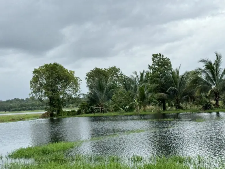 รมว.ธรรมนัส สั่งการเจ้าหน้าที่ทุกหน่วยงานในสังกัดกระทรวงเกษตรฯ ให้ความช่วยเหลือผู้ประสบอุทกภัย3 จังหวัดชายแดนภาคใต้