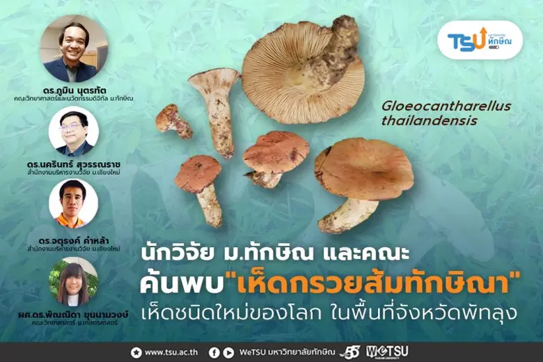 นักวิจัย ม.ทักษิณ และคณะ ค้นพบ "เห็ดกรวยส้มทักษิณา" เห็ดชนิดใหม่ของโลก ในพื้นที่จังหวัดพัทลุง
