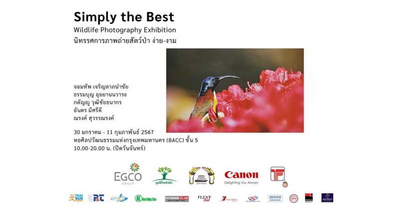EGCO Group และมูลนิธิไทยรักษ์ป่า ชวนสัมผัสคุณค่าของสัตว์ป่าและธรรมชาติ ในนิทรรศการภาพถ่าย "ง่าย-งาม" ณ หอศิลปกรุงเทพฯ 30 ม.ค.-11 ก.พ. 67
