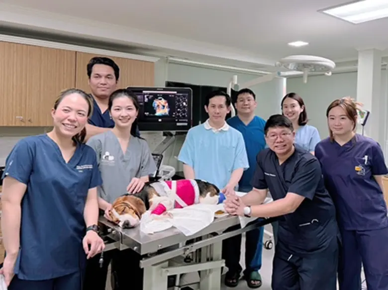 Chulalongkorn's Vets Successfully Repair Mitral Valve Regurgitation in Dogs with Innovation - First Case in Southeast Asia and Thailand