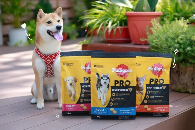 Mars Petcare unveils the 'SWAP Recycling' Program Year 4, urging pet parents to participate in reducing plastic waste while offering chances to win prizes worth over THB 2.4 million