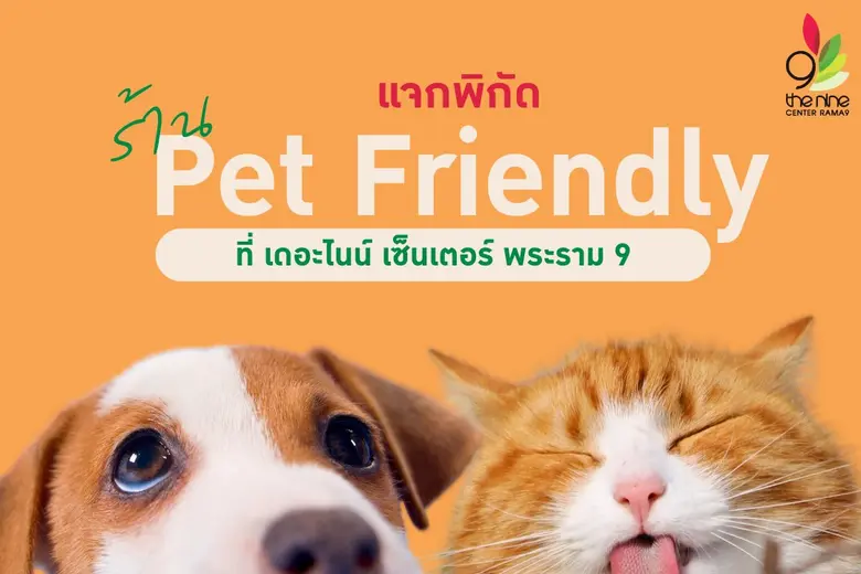 เดอะไนน์ เซ็นเตอร์ พระราม 9 ตอบรับกระแส Pet Friendly เชิญชวนคุณพ่อ คุณแม่ พาน้องสัตว์เลี้ยงมาเดินเล่น