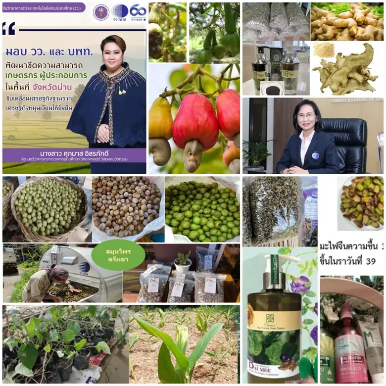 "ศุภมาส" มอบ วว. / บพท. พัฒนาขีดความสามารถเกษตรกร ผู้ประกอบการ ในพื้นที่จังหวัดน่าน ขับเคลื่อนเศรษฐกิจฐานราก เศรษฐกิจหมุนเวียน ให้ยั่งยืน