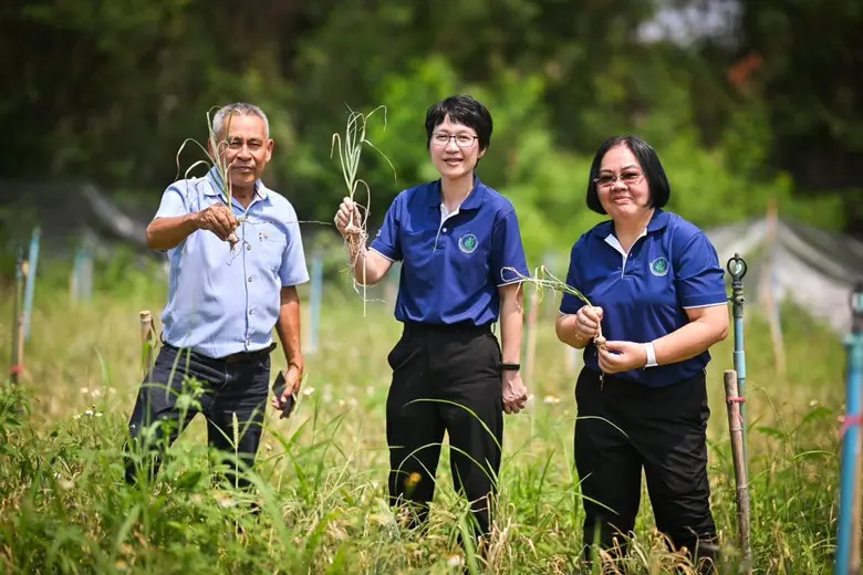 มกอช. ลงพื้นที่ลำพูน หนุนกลุ่มวิสาหกิจชุมชนพัฒนาผลิตภัณฑ์พืชผักสมุนไพรและผลไม้ ใช้ระบบ QR Trace on Cloud และ DGTFarmจ