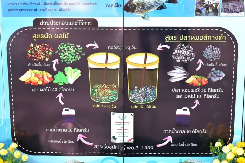 พด. ขานรับนโยบาย "รมว.ธรรมนัส" ผลิตน้ำหมักชีวภาพคุณภาพสูงจาก "ปลาหมอสีคางดำ" ใช้ส่งเสริมการเจริญเติบโตของพืช ผัก ไม้ผลเศรษฐกิจในแม่น้ำแม่กลอง แม่น้ำท่าจีนและแม่น้ำเพชรบุรี