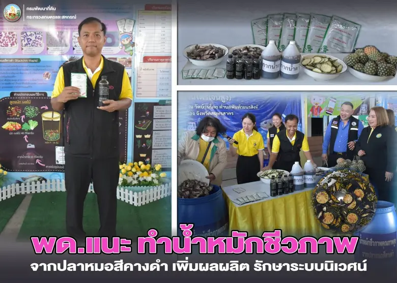 พด. ขานรับนโยบาย "รมว.ธรรมนัส" ผลิตน้ำหมักชีวภาพคุณภาพสูงจาก "ปลาหมอสีคางดำ" ใช้ส่งเสริมการเจริญเติบโตของพืช ผัก ไม้ผลเศรษฐกิจในแม่น้ำแม่กลอง แม่น้ำท่าจีนและแม่น้ำเพชรบุรี