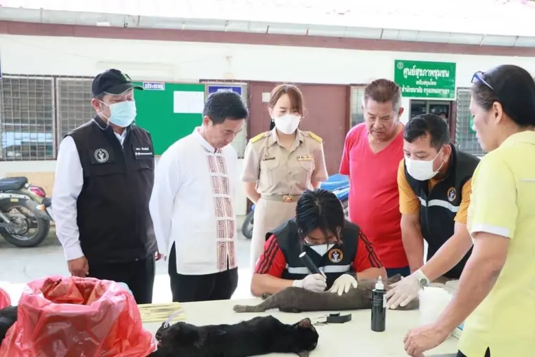 เขตลาดกระบังรณรงค์ฉีดวัคซีนป้องกันโรคพิษสุนัขบ้า-ทำหมันสุนัข-แมวจรจัดในพื้นที่