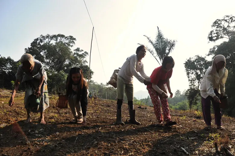 Battling Forest Fires on International Day of Forests