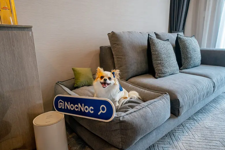 NocNoc แท็กทีม "เมเจอร์ ดีเวลลอปเม้นท์" จัดโปรแรงเสิร์ฟลูกบ้านเพ็ทแฟมิลี่ รับส่วนลด สูงสุด 4,000 บาท เมื่อช้อปเฟอร์ฯ และสินค้ากลุ่ม NocNoc Pets ตกแต่งคอนโด ตั้งแต่วันที่ 1 เม.ย. - 30 มิ.ย. 67 นี้