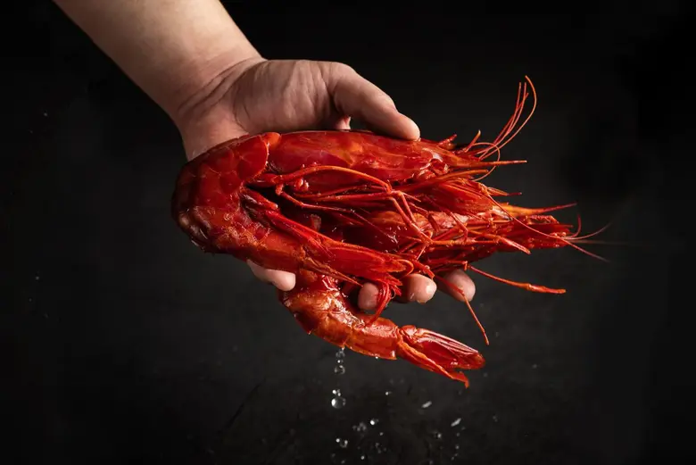 ต้อนรับฤดูร้อนสไตล์เมดิเตอร์เรเนียนกับ "GAMBERO ROSSO DI MAZARA"  กุ้งแดงมาซาร่า-ราชินีแห่งท้องทะเลซิซิลี ที่ห้องอาหารอิตาเลียน OTTO ต้อนรับฤดูร้อนสไตล์เมดิเตอร์เรเนียนกับ "GAMBERO ROSSO DI MAZARA"  กุ้งแดงมาซาร่า-ราชินีแห่งท้องทะเลซิซิลี ที่ห้องอาหารอิตาเลียน OTTO