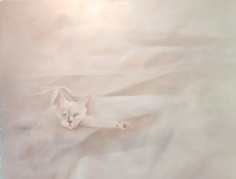 Exhibition: MAMA MEOW - The Love of CAT's Mommy is no reason