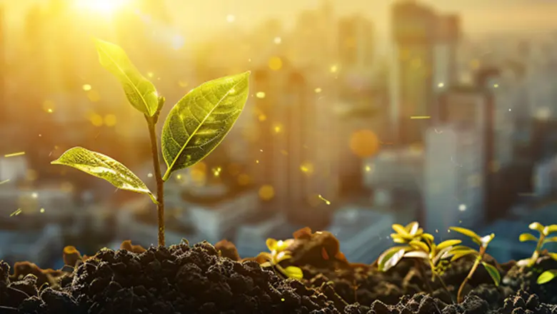 Broad range of Acrylics, Alcohols, Glycol Ethers and Acetates from BASF now also available with different sustainability attributes