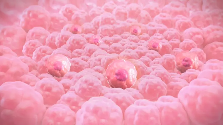 MEDEZE ชี้ตัวเลขจัดเก็บ Stem Cell ทั่วโลกเติบโต ยืนยันดำเนินธุรกิจตามกฎหมายอย่างเคร่งครัด