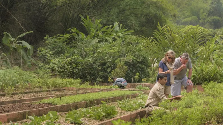 Four Seasons Tented Camp Golden Triangle Marks Earth Day 2025 with Purposeful Sustainability Initiatives