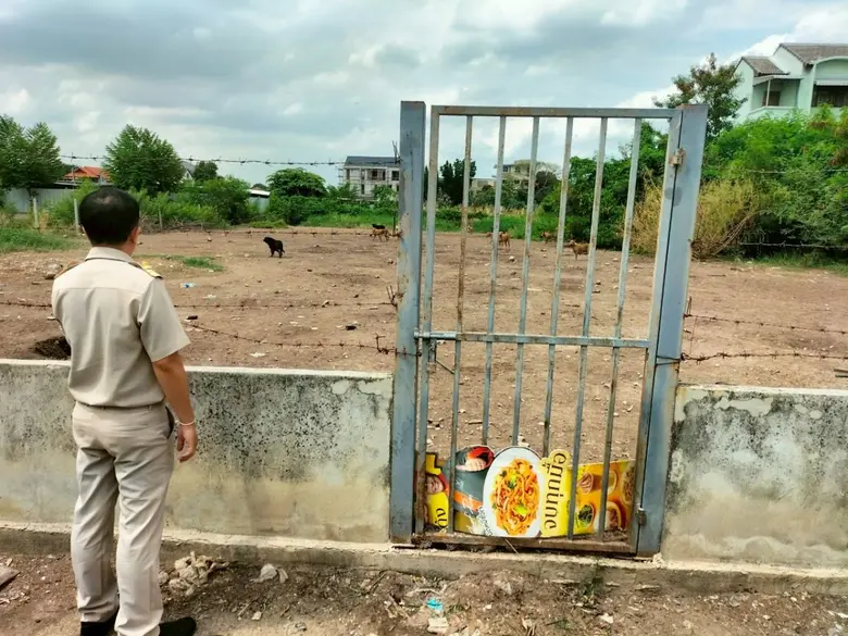 เขตดอนเมืองเร่งแก้ปัญหาสุนัขจรจัดบริเวณซอยช่างอากาศอุทิศ 5 แยก 2