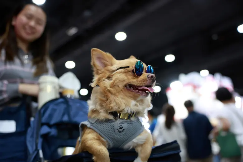 เปิดฉากยิ่งใหญ่ "Pet Expo Thailand 2025" ฉลองครบรอบ 25 ปี