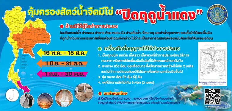 "ฤดูน้ำแดง 2568" คุ้มครองสัตว์น้ำจืดมีไข่ทั่วประเทศ กรมประมงออกประกาศฉบับใหม่ บังคับใช้ 5 ปี