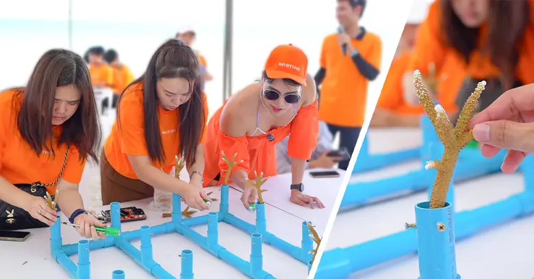 "รักษ์ทะเล WITH ME" มิสทินชวนคนรุ่นใหม่ฟื้นฟูปะการัง สร้างหาดสวยอย่างยั่งยืน