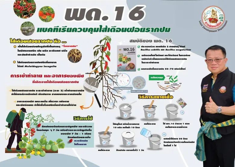 "พด.16" ตัวช่วยใหม่ กรมพัฒนาที่ดินเปิดตัวจุลินทรีย์สู้ไส้เดือนฝอยรากปม พืชเศรษฐกิจฟื้นตัว เผยผลทดสอบได้ผลจริง