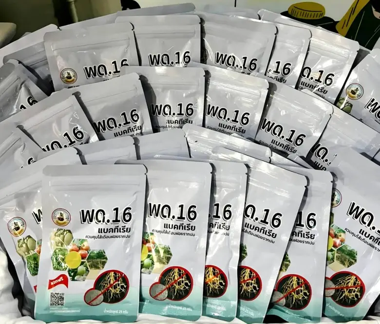 "พด.16" ตัวช่วยใหม่ กรมพัฒนาที่ดินเปิดตัวจุลินทรีย์สู้ไส้เดือนฝอยรากปม พืชเศรษฐกิจฟื้นตัว เผยผลทดสอบได้ผลจริง