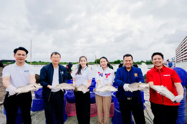 'CP AXTRA' Supports Thai Farmers by Purchasing Over 2.4 Million Kilograms of Sea Bass, Delivering Quality Produce from Farm to Consumers
