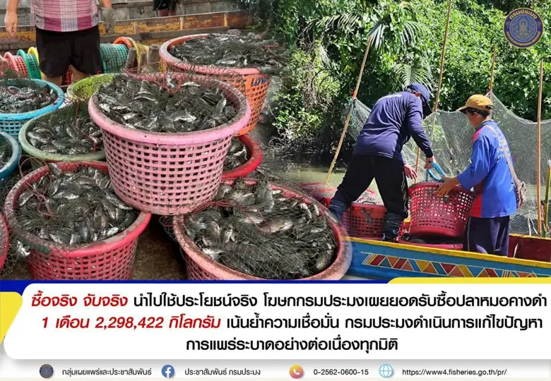 โฆษกกรมประมงเผยยอดรับซื้อปลาหมอคางดำ 1 เดือน 2,298,422 กิโลกรัม เน้นย้ำความเชื่อมั่น กรมประมงดำเนินการแก้ไขปัญหาการแพร่ระบาดอย่างต่อเนื่องทุกมิติ
