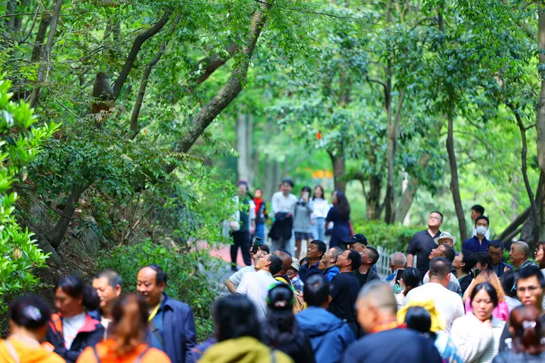 Guizhou's Experience in Making "Ecological Value" from "Green Appearance"