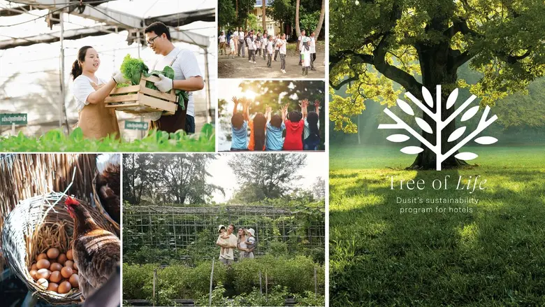 กลุ่มดุสิตธานีเดินหน้าขยายวิสัยทัศน์ "Tree of Life" ส่งเสริมท่องเที่ยวยั่งยืน ปักหมุดเชียงราย หลังเริ่มบริหารรีสอร์ทหรู "ทานตะวันเต็นท์แคมป์"