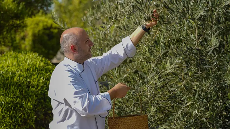 Anantara Al Jabal Al Akhdar Announces 4th Annual Olive Harvest Festival from 24 - 28 September 2025