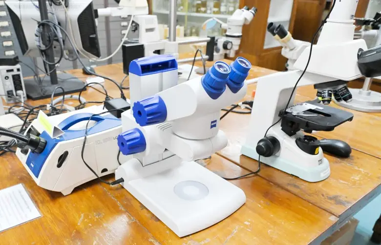 Chulalongkorn University's Herbarium Preserves Thai Flora for Research and Criminal Investigations