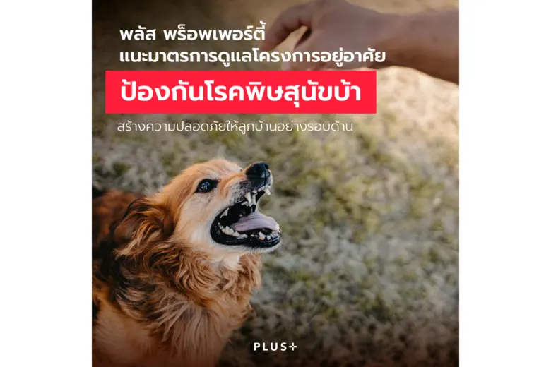 พลัส พร็อพเพอร์ตี้ แนะมาตรการดูแลโครงการอยู่อาศัย ป้องกันโรคพิษสุนัขบ้า สร้างความปลอดภัยให้ลูกบ้านอย่างรอบด้าน