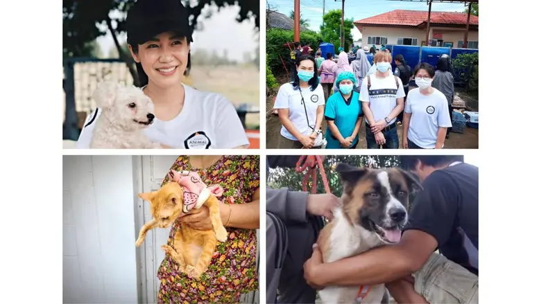 องค์กรพิทักษ์สัตว์แห่งโลก มอบวัคซีนพิษสุนัขบ้าต่อเนื่อง 10,000 เข็ม เนื่องในวันป้องกันโรคพิษสุนัขบ้าโลกเพื่อสร้างชุมชนปลอดภัย