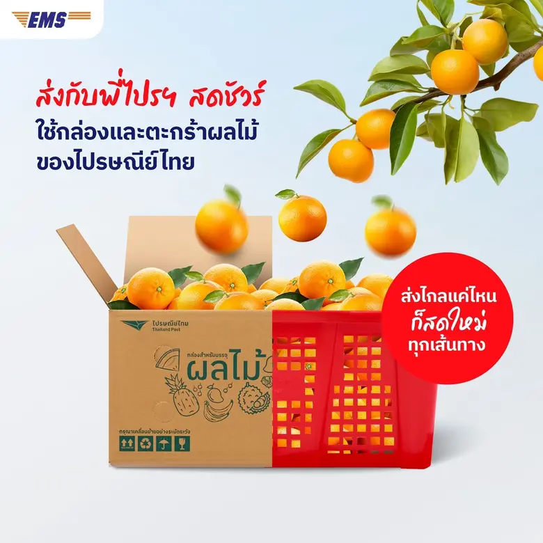 ไปรษณีย์ไทยเร่งเครื่อง EMS หนุนเกษตรกรทั่วไทย ส่งด่วนผลไม้-ผลผลิตสดใหม่ ถึงผู้บริโภค พร้อมเผย TOP 3 จังหวัดของแต่ละภาคใช้บริการสูงสุด