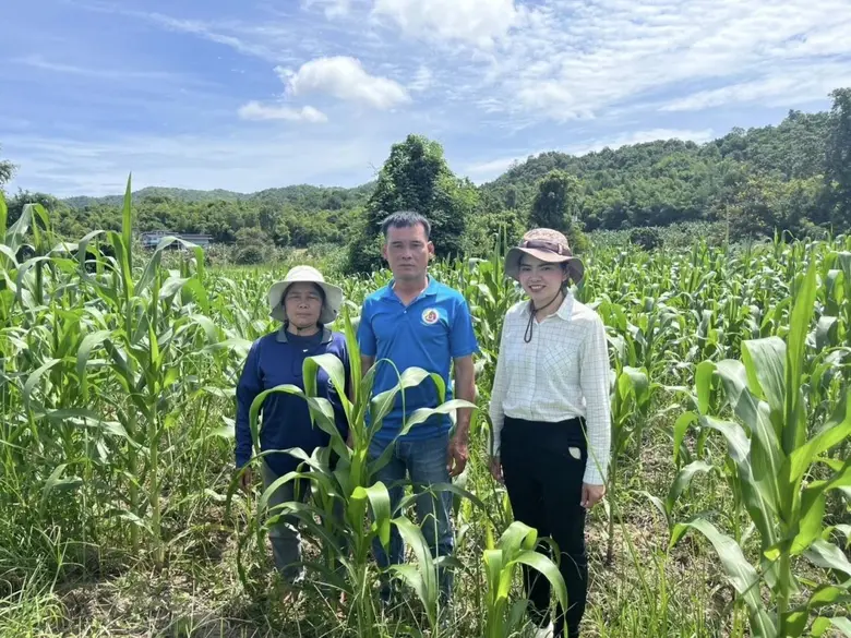 เกษตรหนองหญ้าปล้อง จัดประชาคมเกษตรกรผู้ปลูกข้าวนาปี และผู้ปลูกข้าวโพดเลี้ยงสัตว์ ปีการผลิต 2568/69