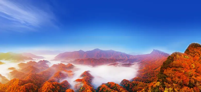 The 23rd Sichuan Guangwu Mountain International Red Leaf Festival Sincerely Inviting the World to Enjoy Asia's Most Beautiful Autumn Scenery