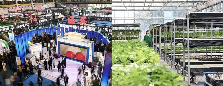 Agricultural Hi-Tech Fair to be Held in Northwest China's Yangling to Promote Agri-Tech Cooperation