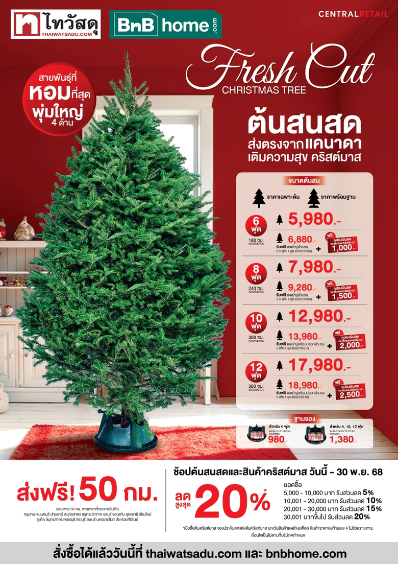 ไทวัสดุ และ บีเอ็นบี โฮม ในเครือเซ็นทรัล รีเทล ตอกย้ำความเป็นเจ้าตลาดเทศกาลคริสต์มาสเปิดพรีออร์เดอร์ 'ต้นสนสดจากแคนาดา' 4 ขนาดใหม่