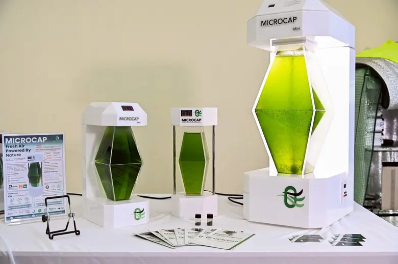 MICROCAP เครื่องผลิตออกซิเจนด้วยพลังจุลสาหร่าย นวัตกรรมเพิ่มคุณภาพอากาศให้คนเมือง โดย อ.จุฬาฯ