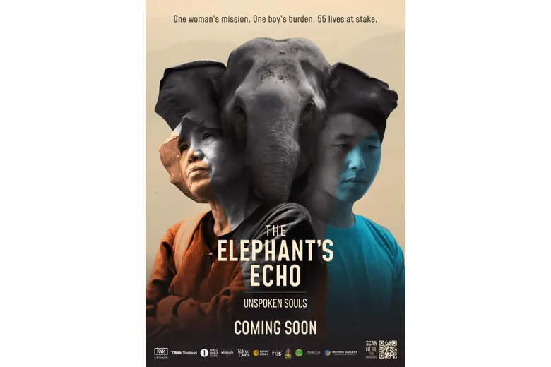 The elephants echo The elephants echo