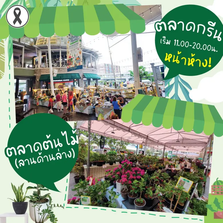 GREEN & TREE MARKET 2025 พร้อมให้ช้อปแบบจัดเต็ม GREEN & TREE MARKET 2025