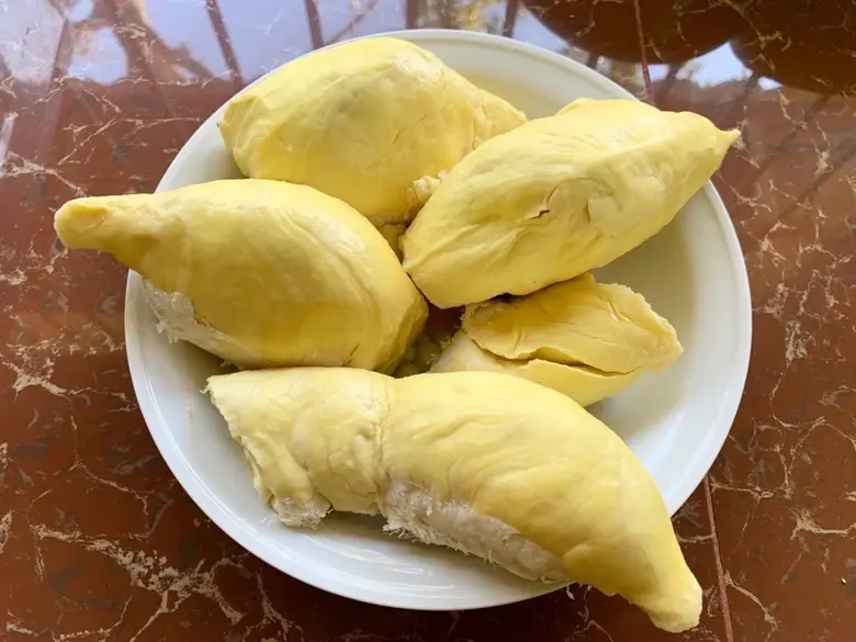 กรมทรัพย์สินทางปัญญา ดัน "ทุเรียนชุมพร" ขึ้นแท่น GI น้องใหม่ชวนลิ้มลองเอกลักษณ์ทุเรียนใต้ รสชาติหวานมัน คุณภาพระดับโลก