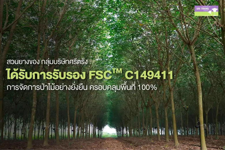 กลุ่มบริษัทศรีตรังคว้ามาตรฐาน FSC(TM) ครอบคลุมพื้นที่สวนยาง 100% ตอกย้ำความเป็นผู้นำด้านความยั่งยืน