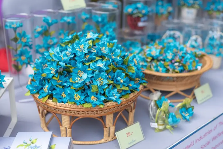 4-6 พฤศจิกายน นี้ ชวนอุดหนุน "ดอกแก้วกัลยา" รายได้ช่วยเหลือคนพิการทั่วประเทศ ที่ศูนย์การค้าแพลทินัม