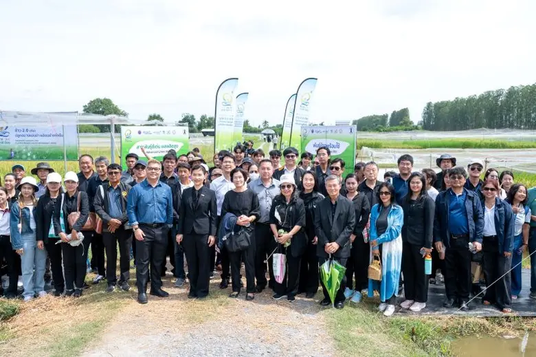 สวทช.-ม.เกษตรฯ จัดงาน "NSTDA-KU Rice Field Day 2025" ปีที่ 2 โชว์ศักยภาพพันธุ์ข้าวนวัตกรรม ผลผลิตสูง 2 ตันต่อไร่ พร้อมรับมือวิกฤติภูมิอากาศ ตอบโจทย์เกษตรยั่งยืน