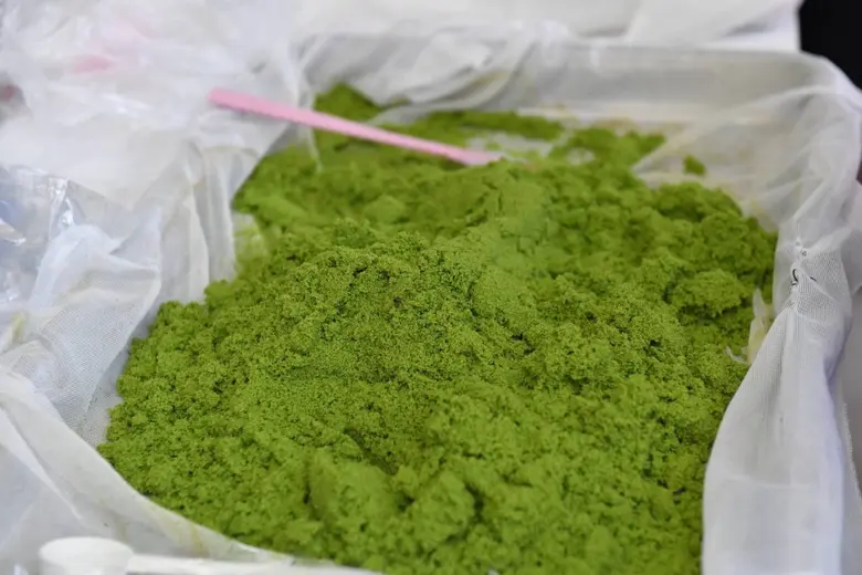 มกอช. ผลักดัน "ไข่ผำ (Wolffia)" สู่ตลาดญี่ปุ่น