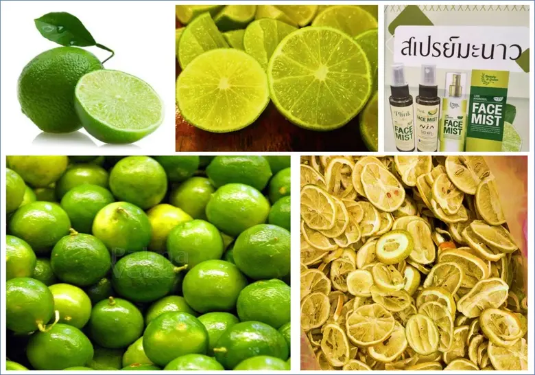 วว./ NIA / มรภ.กาญจนบุรี/ บริษัทเลม่อนโกลด์ฯ สนับสนุนเศรษฐกิจ BCG พัฒนาผลิตภัณฑ?สเปรย?ให?ความสดชื่น บำรุงหน?า จากผลผลิตพลอยได?กระบวนการผลิตน้ำมะนาวโดยใช?เทคโนโลยีไมโครอิมัลชั่น